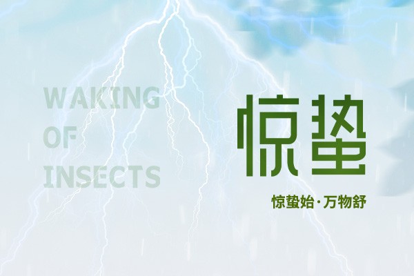 時至驚蟄 | 春雷始鳴，萬物生機盎然